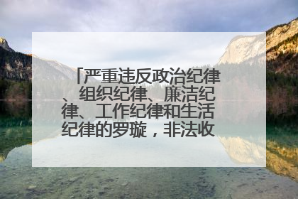 严重违反政治纪律、组织纪律、廉洁纪律、工作纪律和生活纪律的罗璇，非法收受他人巨额财物