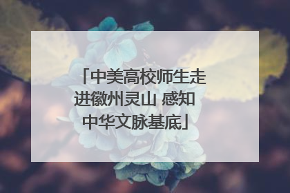 中美高校师生走进徽州灵山 感知中华文脉基底