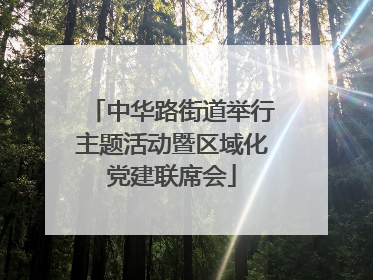 中华路街道举行主题活动暨区域化党建联席会