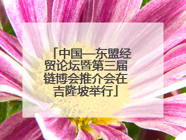中国—东盟经贸论坛暨第三届链博会推介会在吉隆坡举行