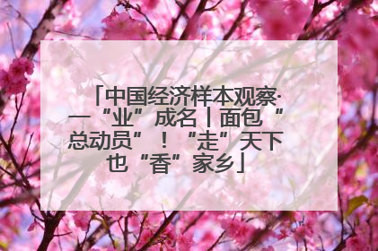 中国经济样本观察·一“业”成名丨面包“总动员”！“走”天下也“香”家乡