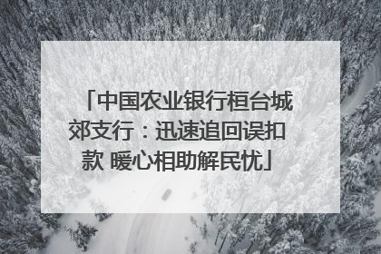 中国农业银行桓台城郊支行：迅速追回误扣款 暖心相助解民忧