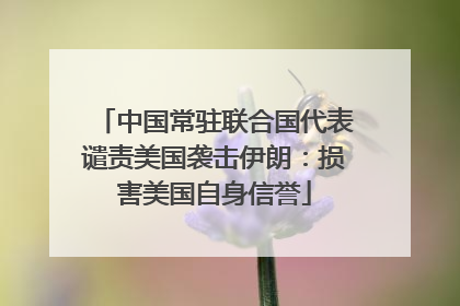 中国常驻联合国代表谴责美国袭击伊朗：损害美国自身信誉