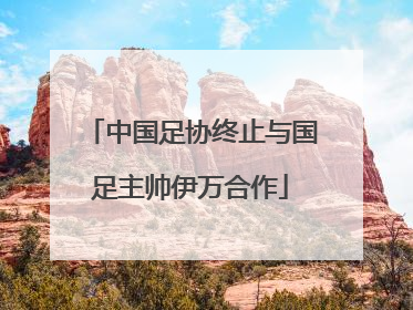 中国足协终止与国足主帅伊万合作