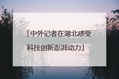 中外记者在湖北感受科技创新澎湃动力