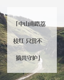 中山南路荔枝红 只赏不摘共守护