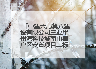 中建六局第八建设有限公司三亚崖州湾科技城南山棚户区安置项目二标段顺利通过第一次主体结构验收