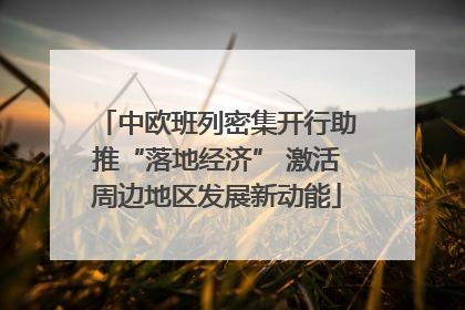 中欧班列密集开行助推“落地经济” 激活周边地区发展新动能