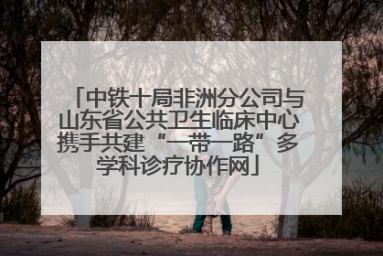 中铁十局非洲分公司与山东省公共卫生临床中心携手共建“一带一路”多学科诊疗协作网