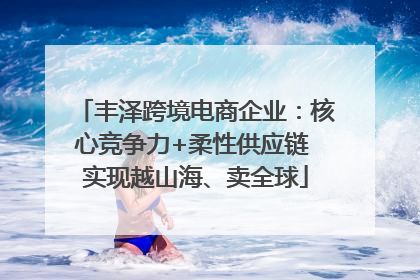 丰泽跨境电商企业：核心竞争力+柔性供应链 实现越山海、卖全球