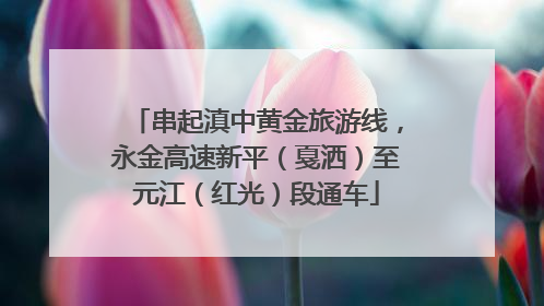 串起滇中黄金旅游线，永金高速新平（戛洒）至元江（红光）段通车