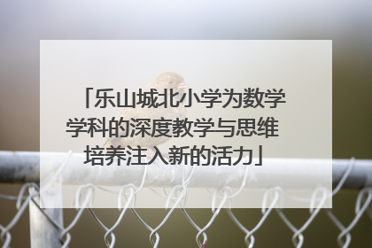 乐山城北小学为数学学科的深度教学与思维培养注入新的活力