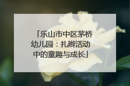 乐山市中区茅桥幼儿园：扎辫活动中的童趣与成长