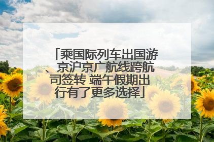 乘国际列车出国游、京沪京广航线跨航司签转 端午假期出行有了更多选择