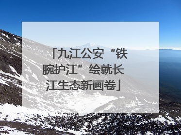 九江公安“铁腕护江”绘就长江生态新画卷