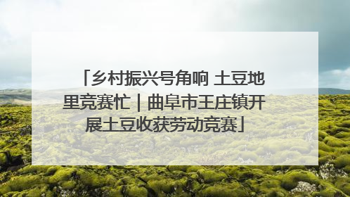 乡村振兴号角响 土豆地里竞赛忙｜曲阜市王庄镇开展土豆收获劳动竞赛