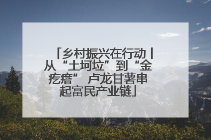 乡村振兴在行动丨从“土坷垃”到“金疙瘩” 卢龙甘薯串起富民产业链