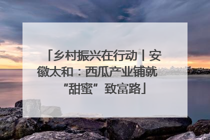 乡村振兴在行动丨安徽太和：西瓜产业铺就“甜蜜”致富路