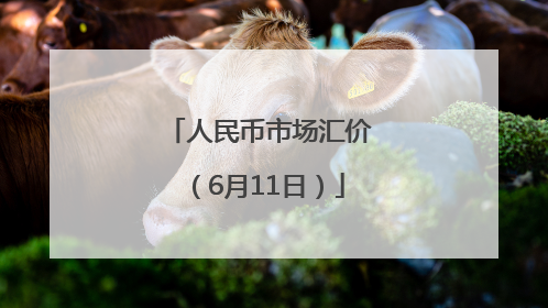人民币市场汇价（6月11日）