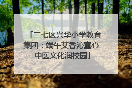 二七区兴华小学教育集团：端午艾香沁童心 中医文化润校园