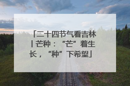 二十四节气看吉林丨芒种：“芒”着生长，“种”下希望