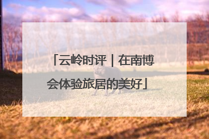 云岭时评｜在南博会体验旅居的美好