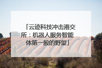 云迹科技冲击港交所：机器人服务智能体第一股的野望
