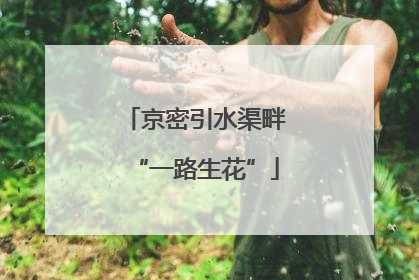 京密引水渠畔“一路生花”