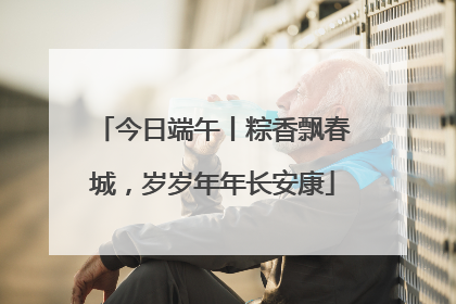 今日端午丨粽香飘春城，岁岁年年长安康