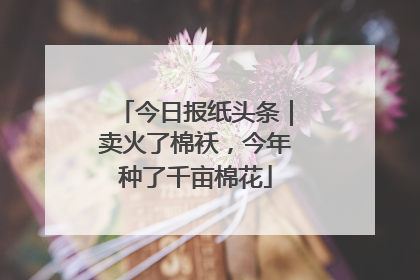 今日报纸头条｜卖火了棉袄，今年种了千亩棉花