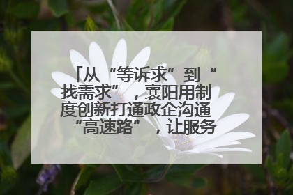 从“等诉求”到“找需求”，襄阳用制度创新打通政企沟通“高速路”，让服务“一键直达”