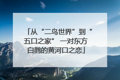 从“二鸟世界”到“五口之家” 一对东方白鹳的黄河口之恋