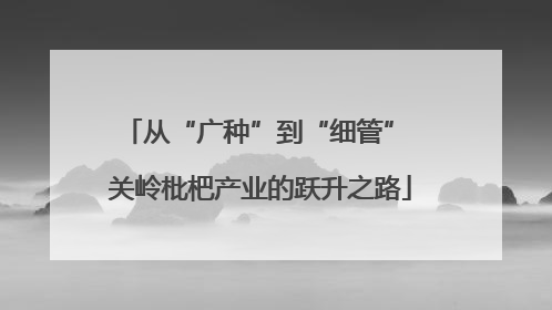 从“广种”到“细管” 关岭枇杷产业的跃升之路