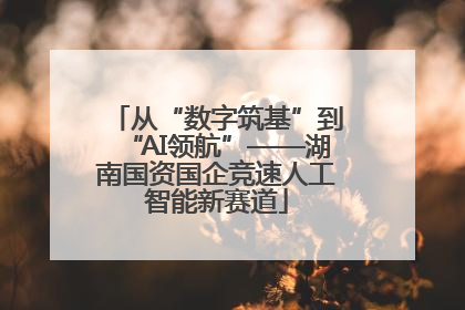 从“数字筑基”到“AI领航”——湖南国资国企竞速人工智能新赛道