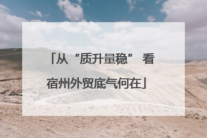 从“质升量稳” 看宿州外贸底气何在