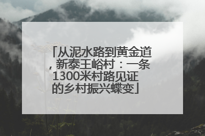 从泥水路到黄金道，新泰王峪村：一条1300米村路见证的乡村振兴蝶变