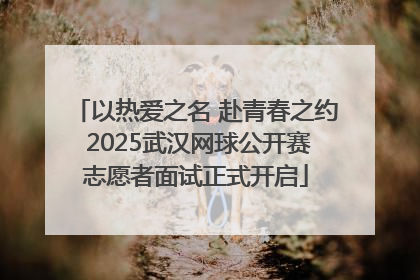以热爱之名 赴青春之约 2025武汉网球公开赛志愿者面试正式开启