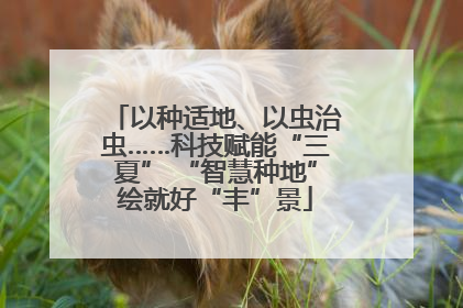以种适地、以虫治虫……科技赋能“三夏” “智慧种地”绘就好“丰”景