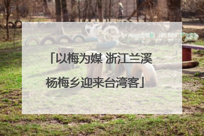 以梅为媒 浙江兰溪杨梅乡迎来台湾客