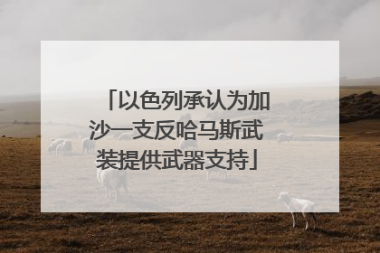 以色列承认为加沙一支反哈马斯武装提供武器支持