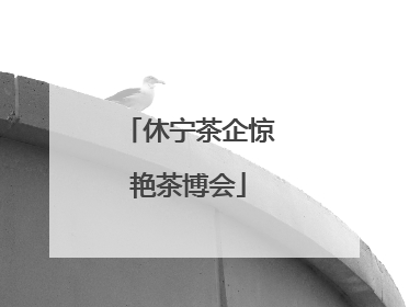 休宁茶企惊艳茶博会