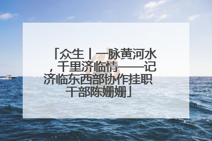 众生丨一脉黄河水，千里济临情——记济临东西部协作挂职干部陈姗姗