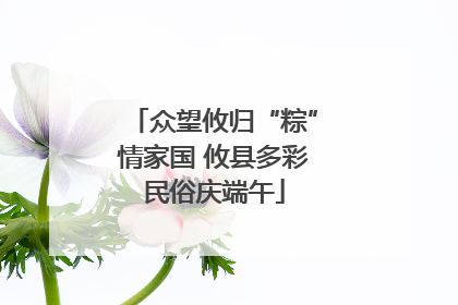 众望攸归“粽”情家国 攸县多彩民俗庆端午