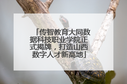 传智教育大同数据科技职业学院正式揭牌,打造山西数字人才新高地