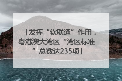发挥“软联通”作用，粤港澳大湾区“湾区标准”总数达235项