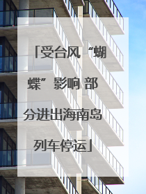 受台风“蝴蝶”影响 部分进出海南岛列车停运