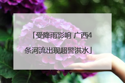 受降雨影响 广西4条河流出现超警洪水