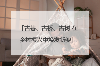 古巷、古桥、古树 在乡村振兴中焕发新姿