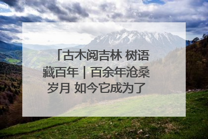古木阅吉林 树语藏百年｜百余年沧桑岁月 如今它成为了“镇园之宝”