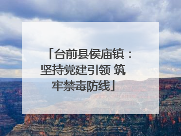 台前县侯庙镇：坚持党建引领 筑牢禁毒防线
